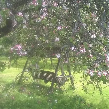 Landsted Toivolan Kievari *
