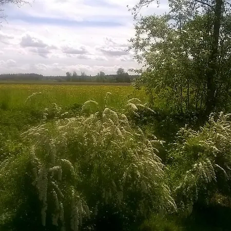 Toivolan Kievari Landsted